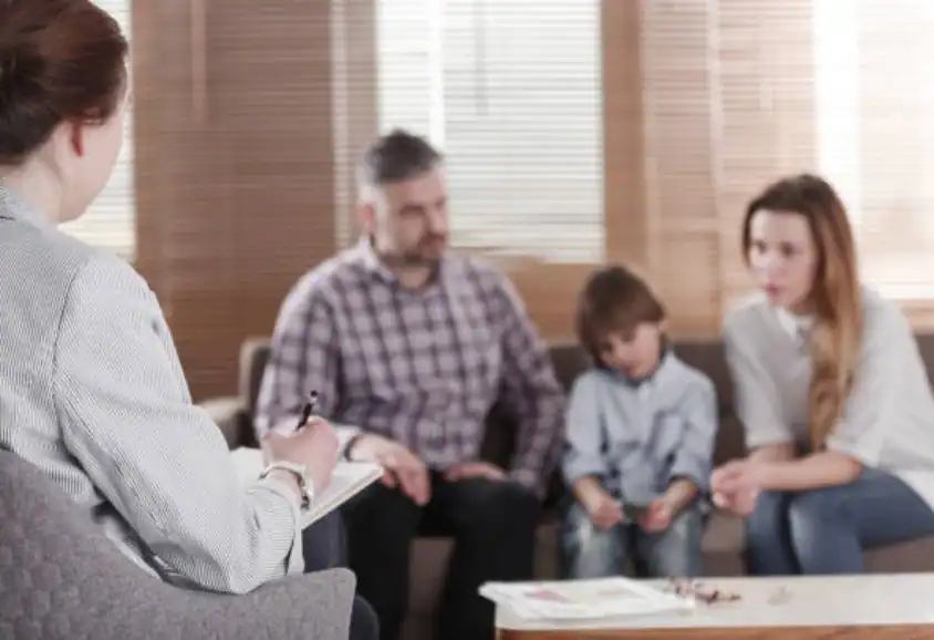 Different Parenting Styles and Expectations: Finding Common Ground Through Mediation Louth